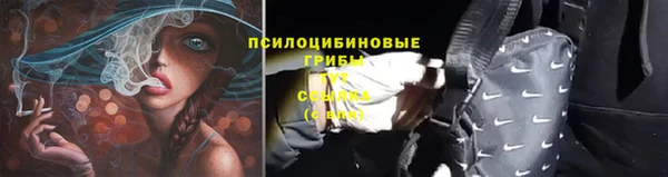 2c-b Аркадак