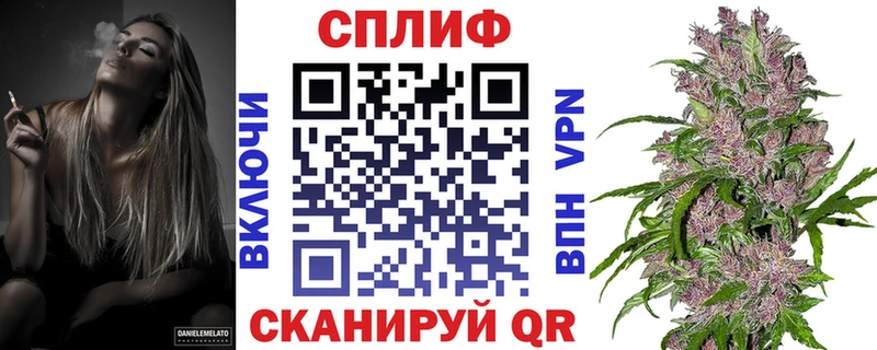 OMG онион Струнино Бошки марихуана White Widow